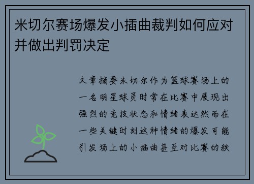 米切尔赛场爆发小插曲裁判如何应对并做出判罚决定